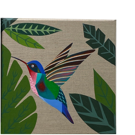silvia maccacaro painter hummingbird11